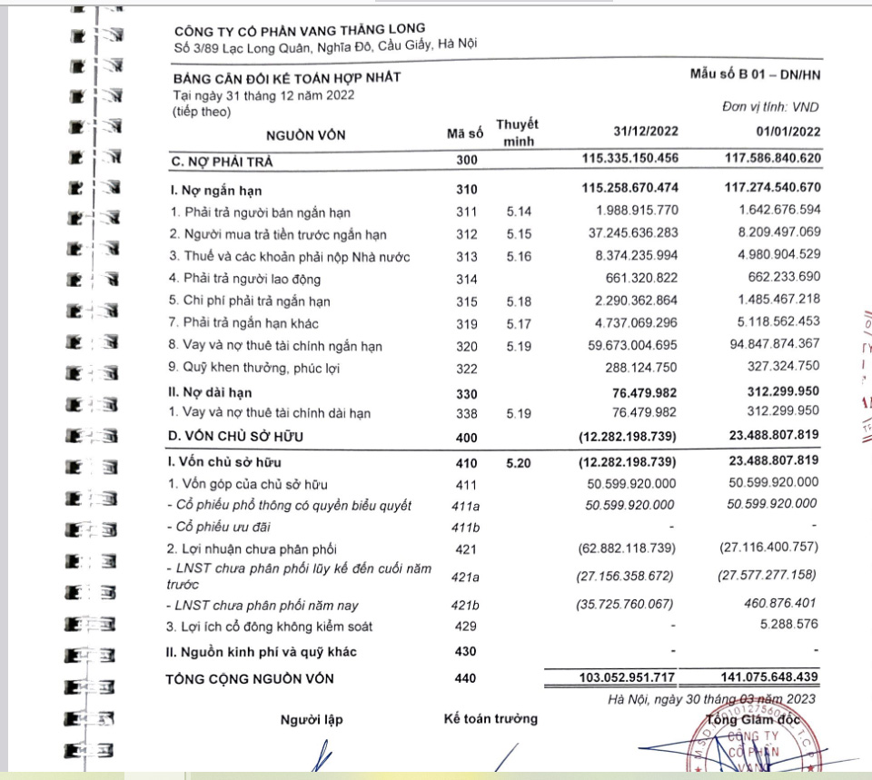 BCTC kiểm to&aacute;n năm 2022 của VTL.