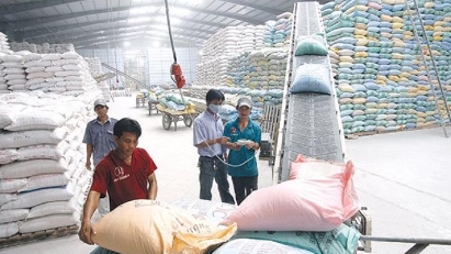 Rice export price hits decade high