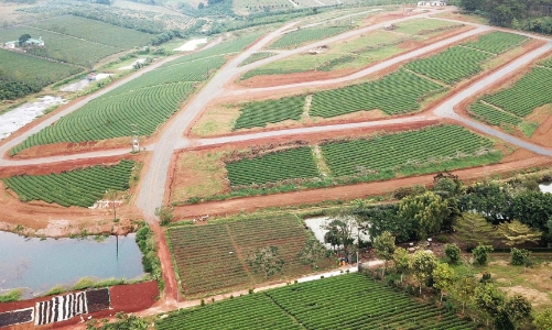 Giao dịch bất động sản ở Lâm Đồng giảm mạnh