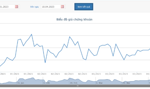 Chị gái Phó Chủ tịch HPG đã bán xong cổ phiếu