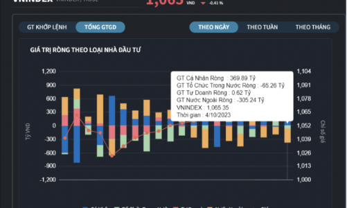 Nhà đầu tư cá nhân 