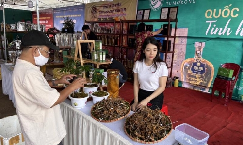 Tổ chức phòng trưng bày nhận diện đúng “quốc bảo Việt Nam” 