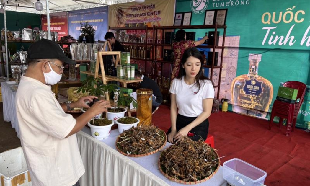 Sâm Ngọc Linh là sản phẩm được nhiều người Việt lựa chọn 