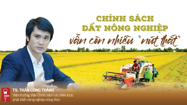 Chính sách đất nông nghiệp vẫn còn nhiều “nút thắt”