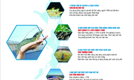 Việt Úc với khát vọng nâng tầm tôm Việt thông qua chuỗi giá trị khép kín