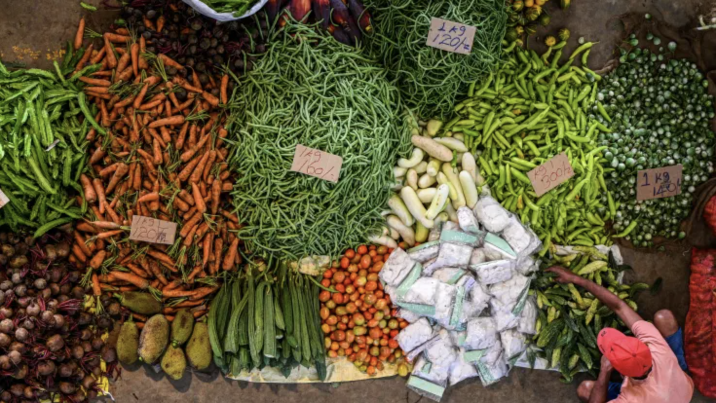 Ảnh minh hoạ - Ảnh: Reuters.