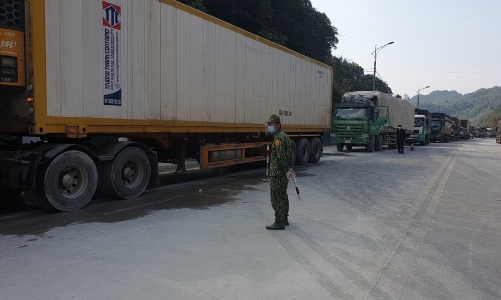 Vẫn tồn hơn 700 xe hoa quả chờ xuất sang Trung Quốc