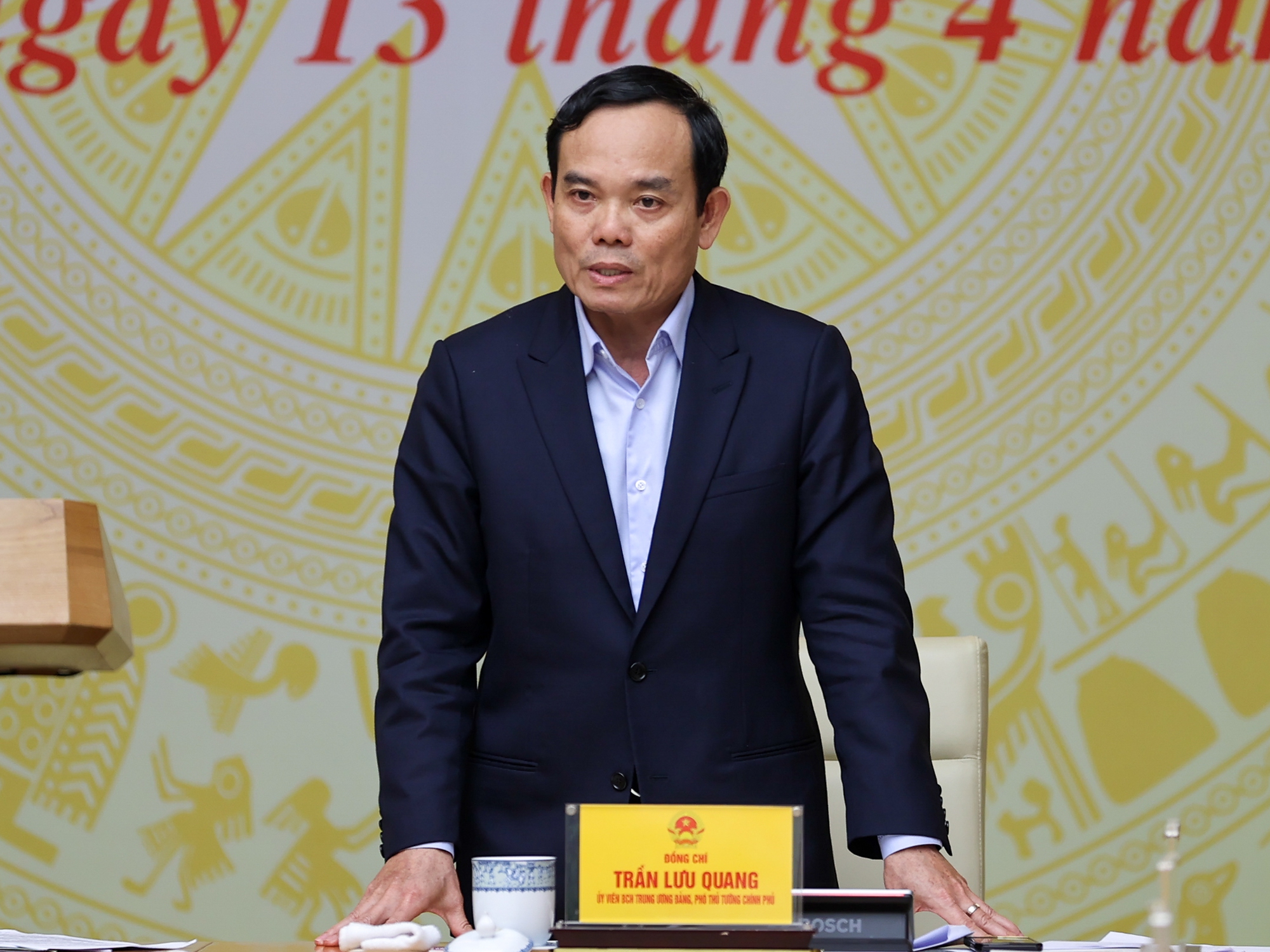 Phó Thủ tướng Trần Lưu Quang phát biểu tại hội nghị - Ảnh: VGP