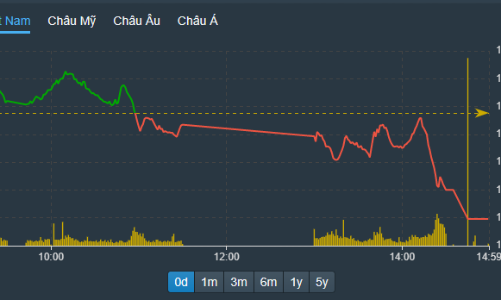 Thị trường lao dốc mạnh, cổ bất động sản giảm sàn la liệt