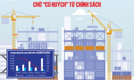 Tạp chí Kinh tế Việt Nam số 16-2023