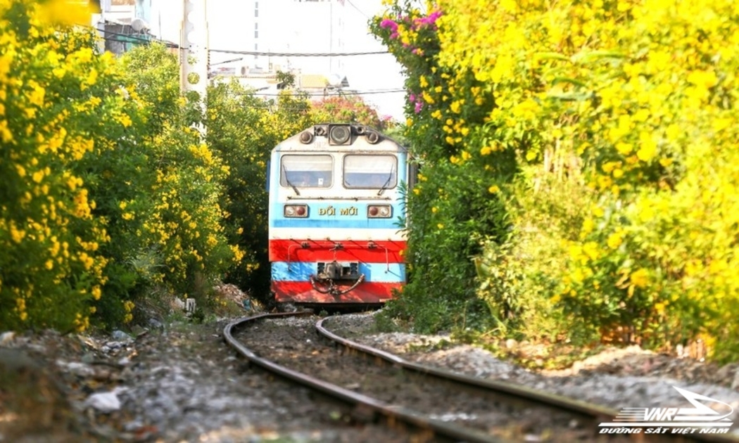 Ngành đường sắt đang nỗ lực đổi mới, đưa ra các sản phẩm kết hợp vận chuyển đường sắt - du lịch hấp dẫn nhằm thu hút hành khách.