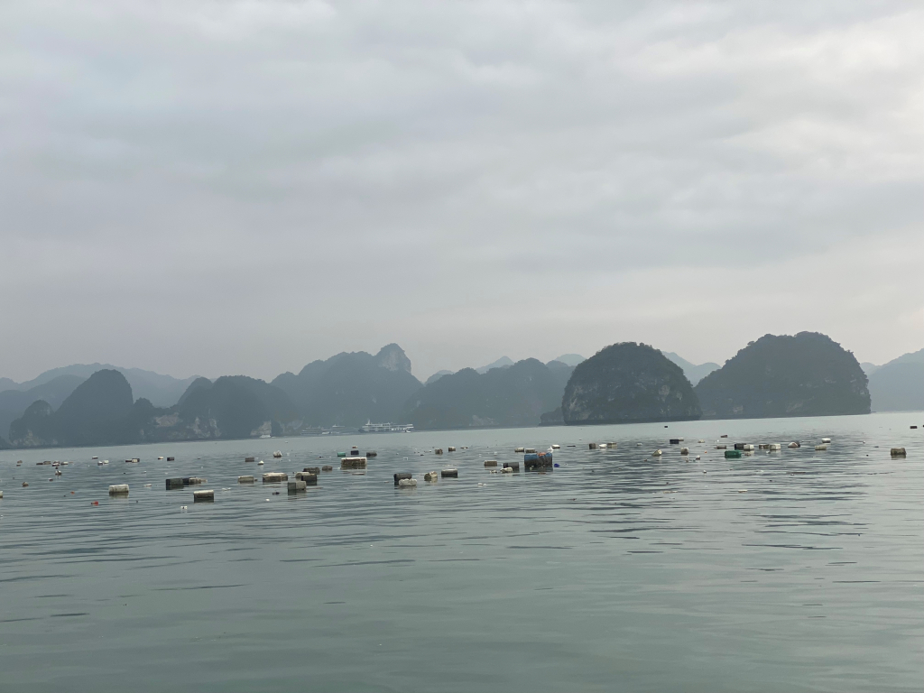 Lượng r&aacute;c thải, phao xốp tr&ocirc;i nổi ở tr&ecirc;n Vịnh Hạ Long v&agrave; Vịnh B&aacute;i Tử Long l&agrave; do c&aacute;c địa phương để cho người d&acirc;n thực hiện th&aacute;o dỡ c&aacute;c lồng b&egrave; một c&aacute;ch tự ph&aacute;t.