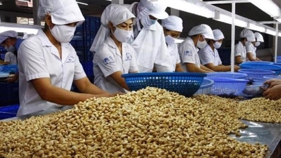Cashew exports at $708mln in Q1