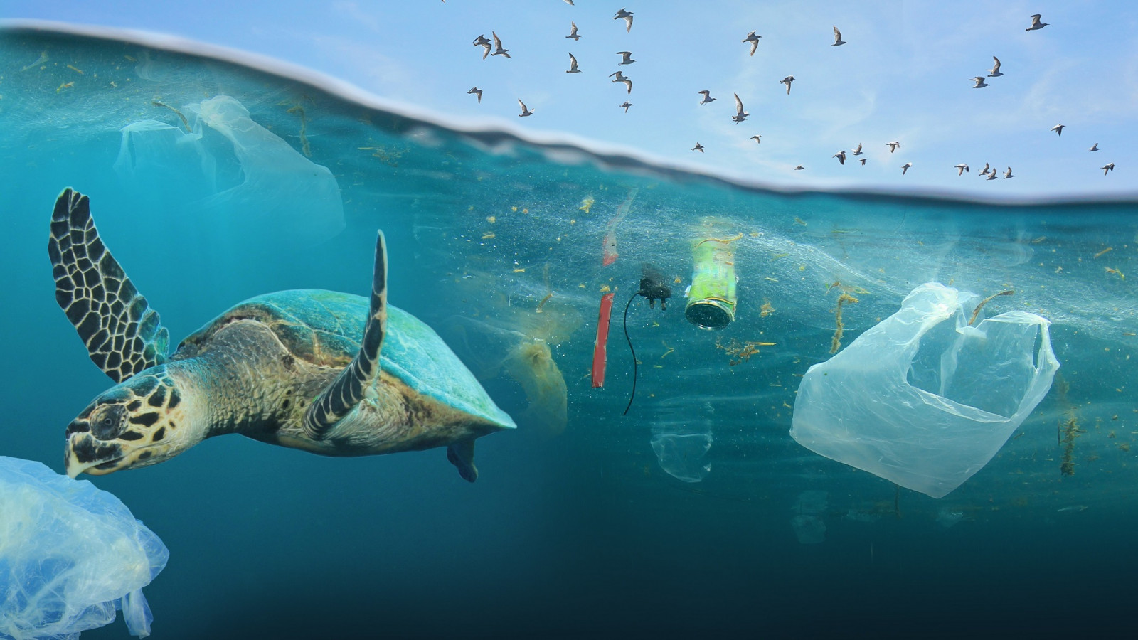 Ảnh: All3media International