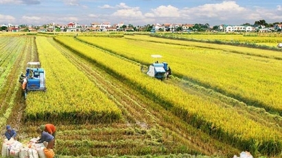 Vietnam to host global conference on food system transformation