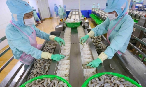 Xuất khẩu của Việt Nam sang Hàn Quốc và Nhật Bản còn rất khiêm tốn