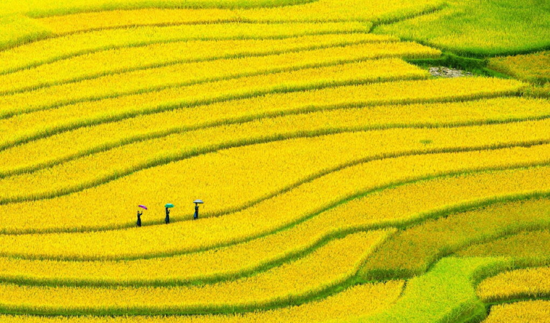 Phát triển nông nghiệp phải hài hòa với thiên nhiên.