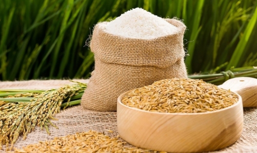 Ukraine lên kế hoạch tái thiết đất nước, cơ hội để Việt Nam đẩy mạnh hợp tác đầu tư và thương mại