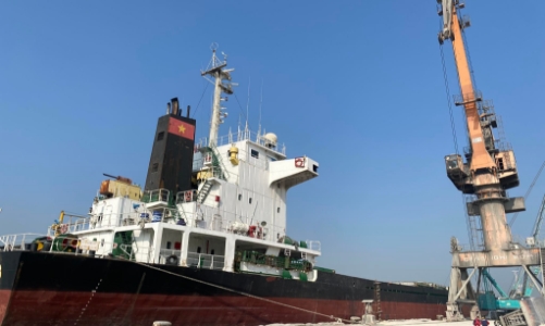 Điểm danh những 