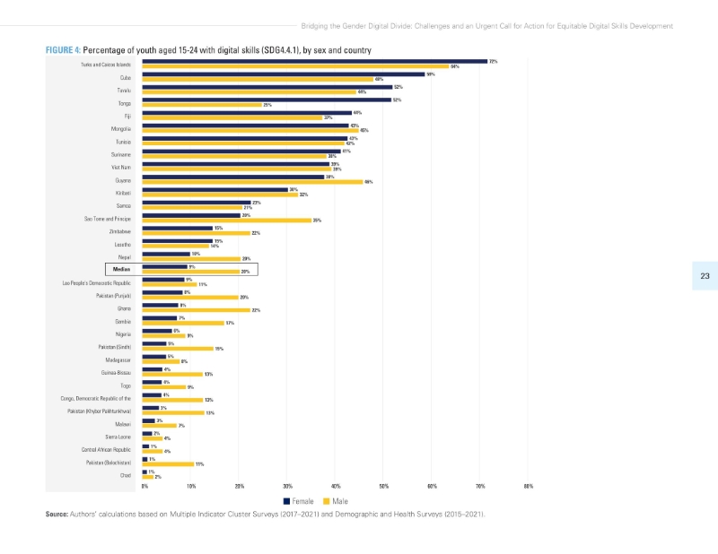 Vietnam bridging gender digital divide