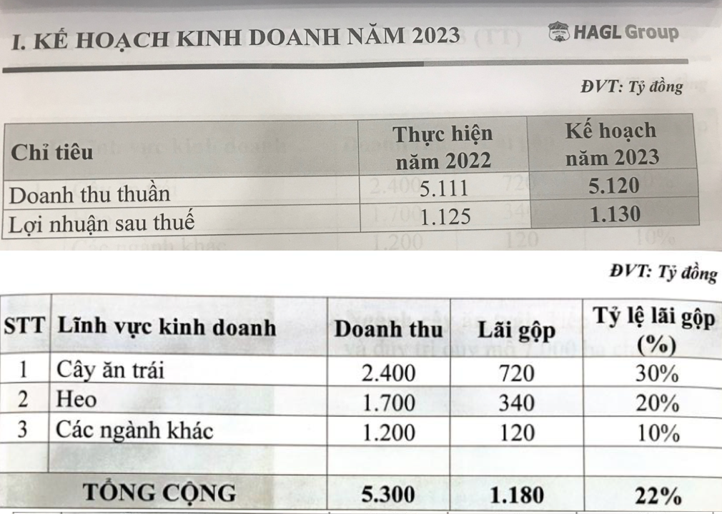 Kế hoạch&nbsp;kinh doanh của&nbsp;HAG năm 2023 - Nguồn: HAG.