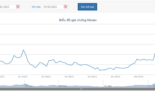 Nhựa Bình Minh bầu Chủ tịch và chốt thời gian trả cổ tức còn lại năm 2022 bằng tiền