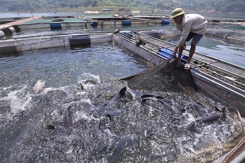 PM calls for study of credit package for seafood and forestry businesses