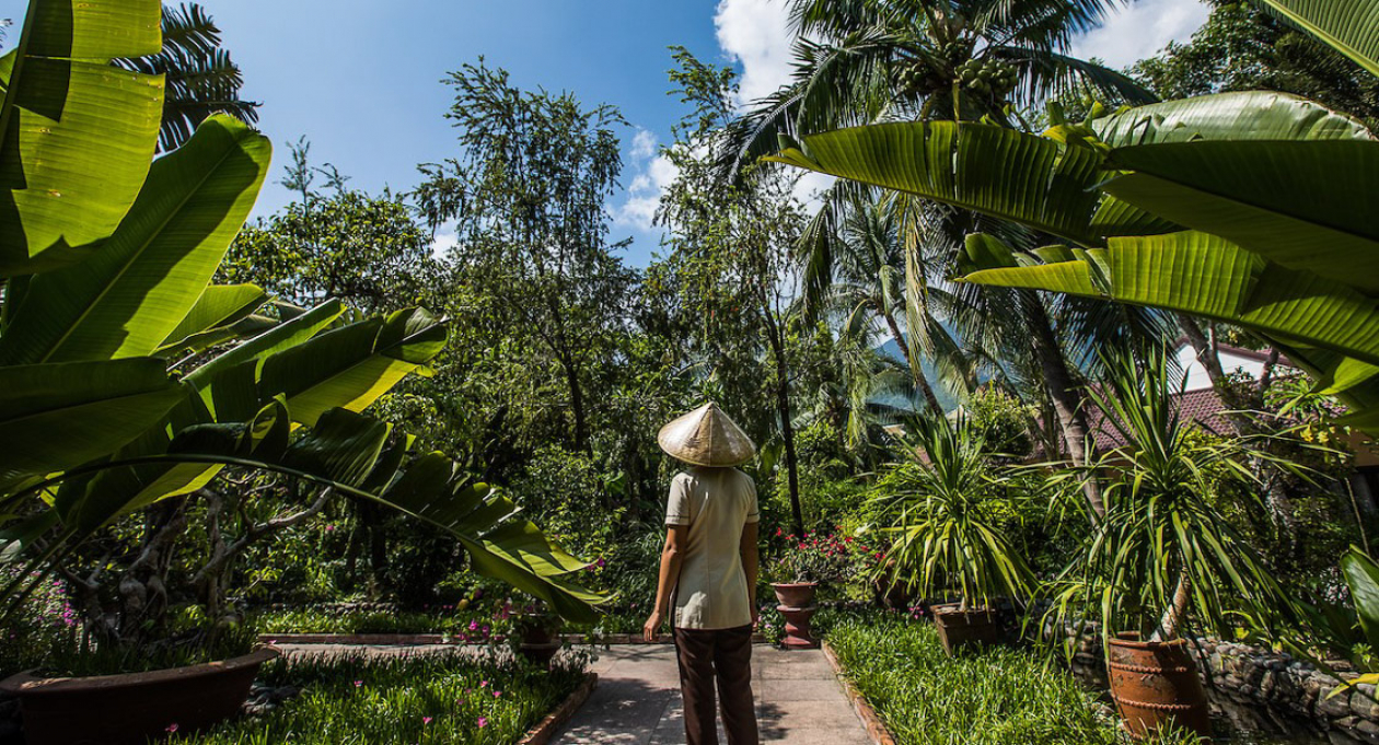 Tại Việt Nam,&nbsp;m&ugrave;a h&egrave; năm nay sẽ c&oacute; nắng n&oacute;ng hơn c&aacute;c năm gần đ&acirc;y.