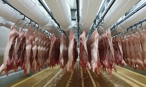 Chi hàng tỷ USD mỗi năm để nhập khẩu các sản phẩm chăn nuôi 