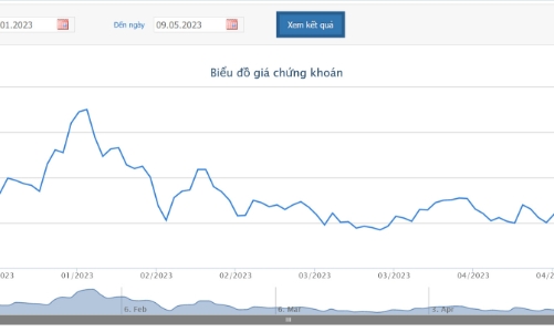 Cổ phiếu vào diện kiểm soát, HBC lên kế hoạch chào bán cổ phiếu riêng lẻ và ESOP