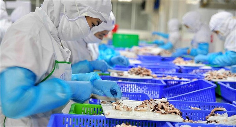 Doanh nghiệp thủy sản gặp khó khăn, lợi nhuận đi xuống trong quý I/2023 - Ảnh minh họa
