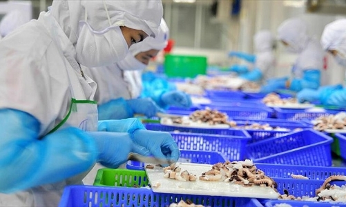 Nhiều “ông lớn” trong ngành chăn nuôi - thủy sản liên tục báo lỗ