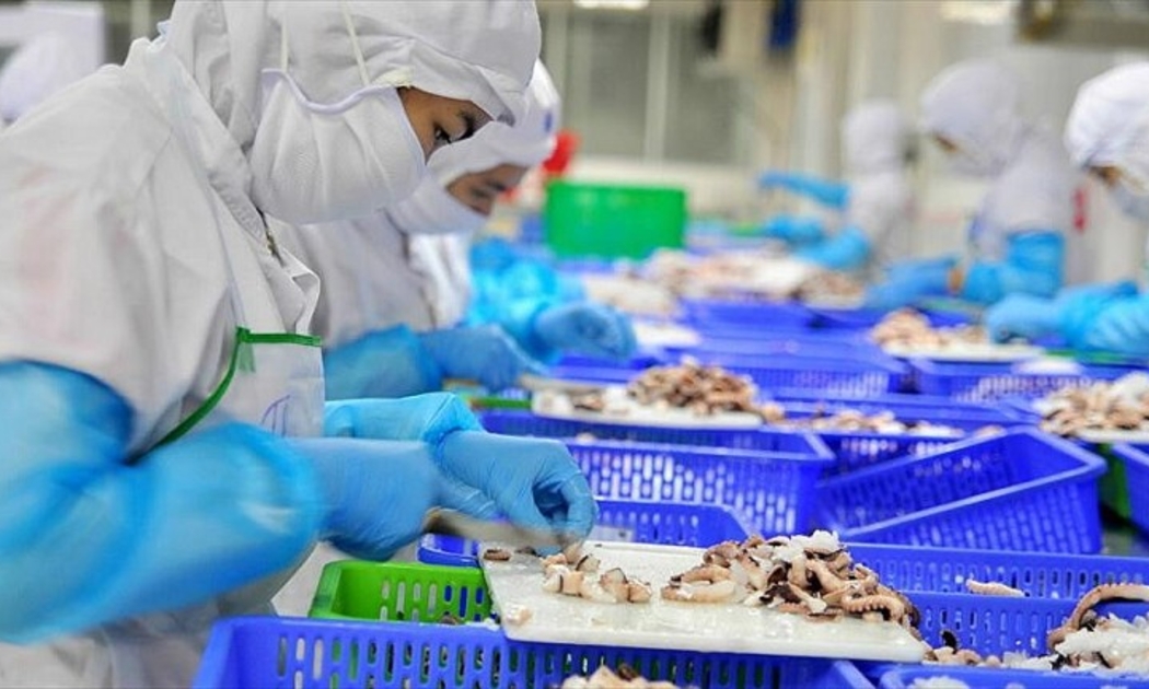 Doanh nghiệp thủy sản gặp khó khăn, lợi nhuận đi xuống trong quý I/2023 - Ảnh minh họa