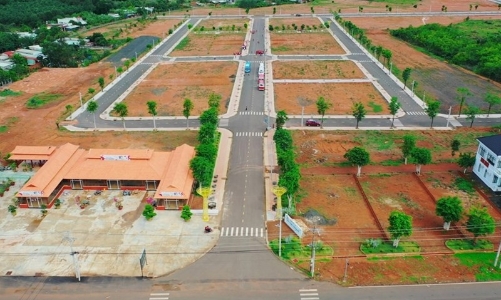 Bình Phước: 41 dự án, công trình trên địa bàn tỉnh không đưa đất vào sử dụng