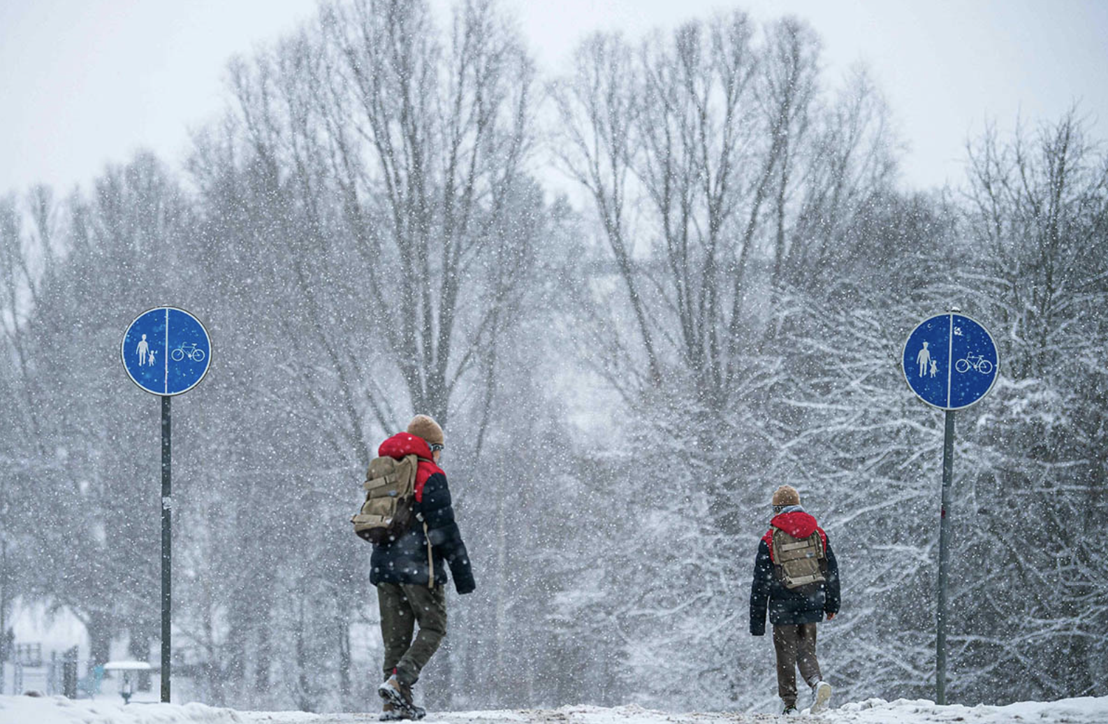 Ảnh minh hoạ - Ảnh: VCG/Sixth Tone.