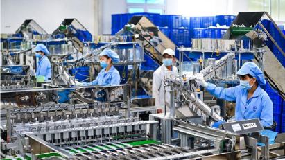 Analysts: Change in mindset needed over FDI attraction