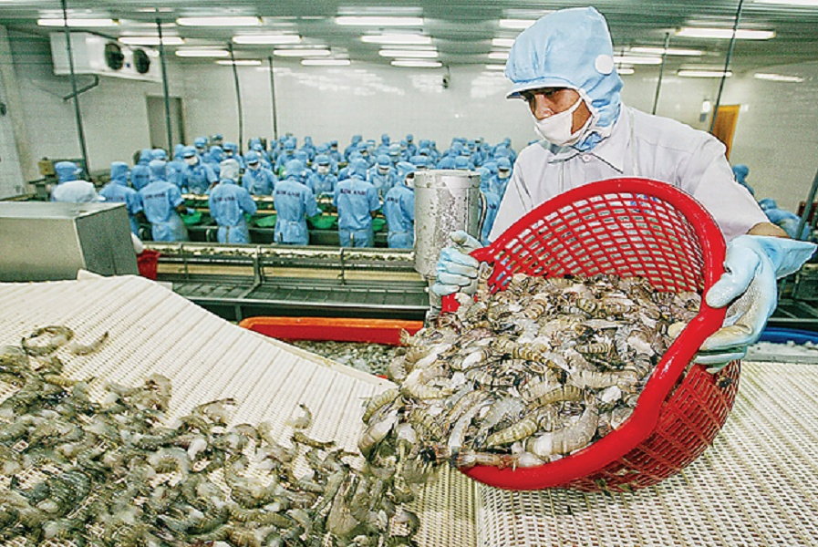 Ngành thủy sản trông chờ các giải pháp hỗ trợ.
