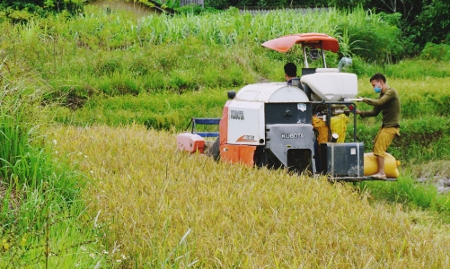 Quảng Ninh: Tỷ lệ hộ nghèo theo chuẩn nghèo đa chiều còn dưới 0,05% vào cuối năm 2025