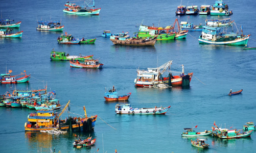 Quyết tâm gỡ thẻ vàng IUU: Giảm cường lực khai thác, nâng cao giá trị chế biến thủy sản