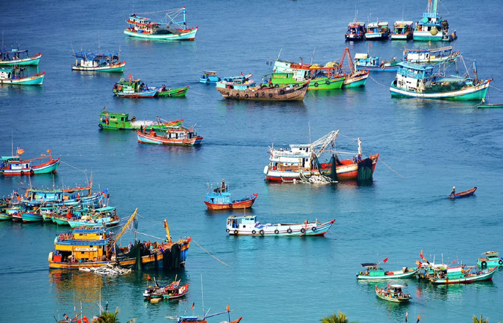 Tính đến hết tháng 4/2023, cả nước có 86 nghiệp đoàn nghề cá cơ sở tại 16/28 tỉnh, thành phố có biển.