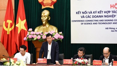 Hai Phong needs high-quality workforce to attract FDI