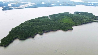 HCMC to build international transshipment port in Can Gio