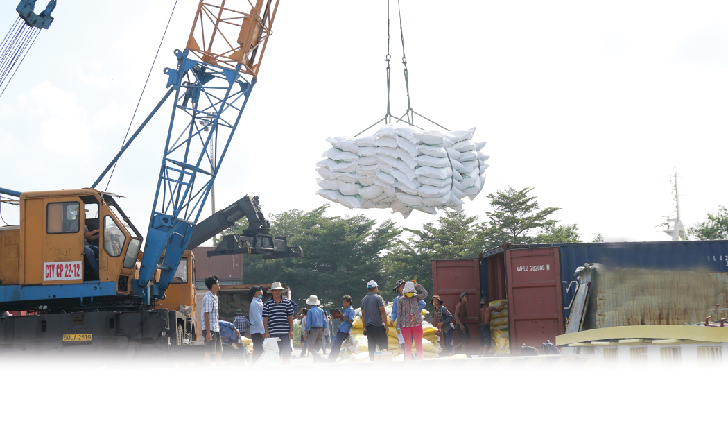 Xuất khẩu gạo 4 tháng tăng trưởng 54,5% về giá trị