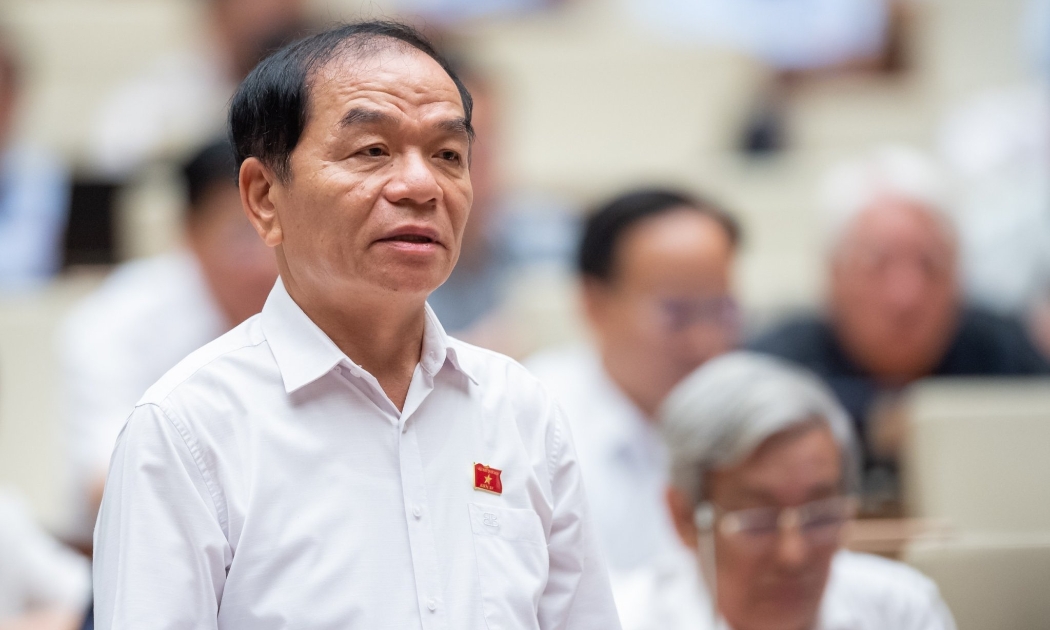 Đại biểu Lê Thanh Vân tại phiên thảo luận sáng ngày 23/5 - Ảnh: Quochoi.vn