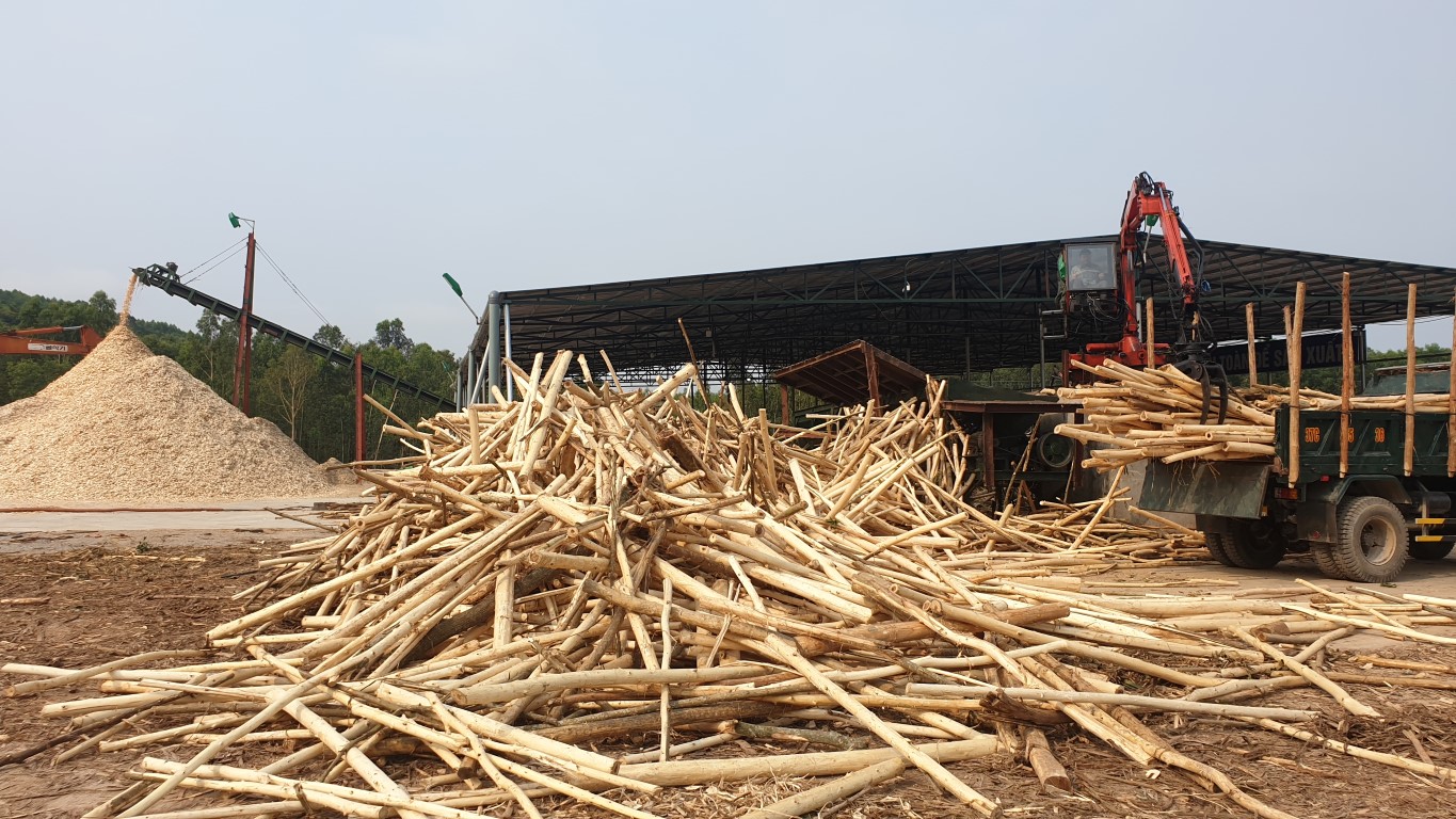 Cơ quan thuế ban hành 5.015 quyết định hoàn thuế VAT với tổng số tiền thuế hoàn là 33.905 tỷ đồng, bằng 87% so với cùng kỳ.