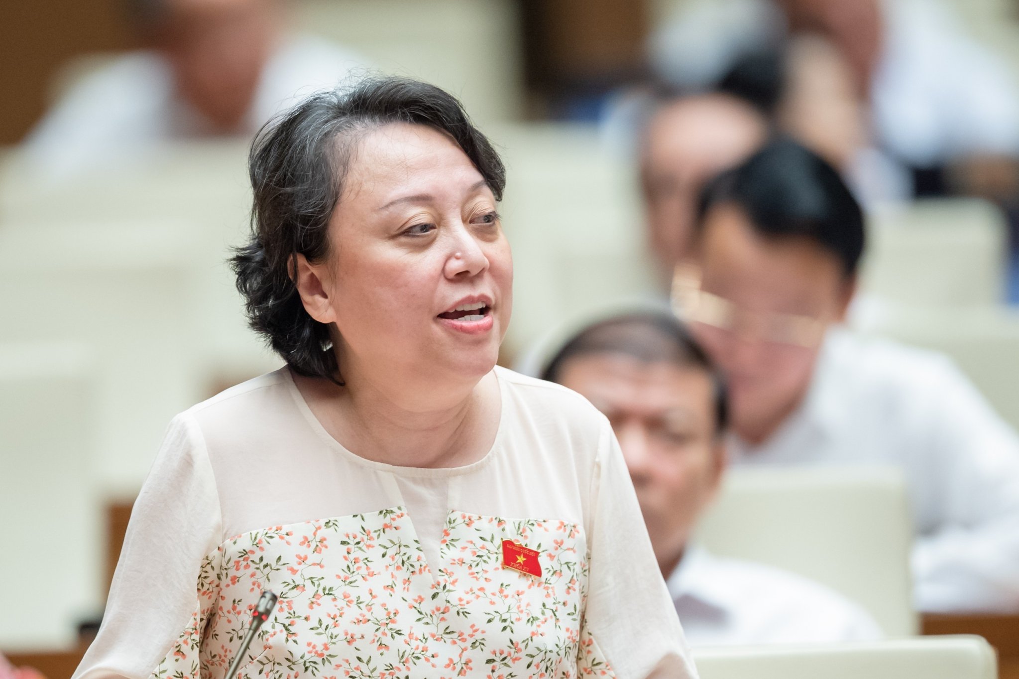 Đại biểu Phạm Kh&aacute;nh Phong Lan, Đo&agrave;n Tp. Hồ Ch&iacute; Minh: 