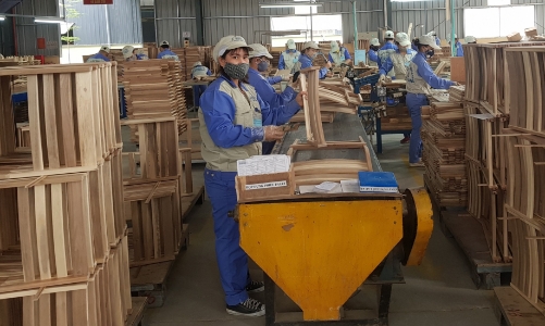 Nâng cao vai trò ngoại giao để “chặn đà” suy giảm của xuất khẩu gỗ 