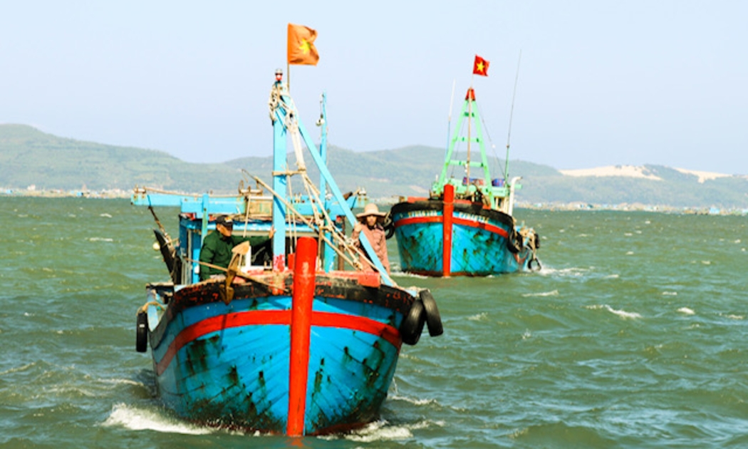 Hải Phòng nỗ lực gỡ thẻ vàng IUU