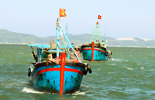 Hải Phòng nỗ lực gỡ thẻ vàng IUU