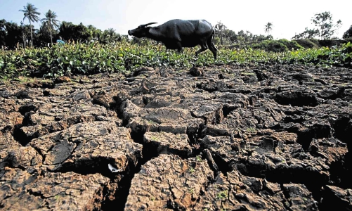 Kinh tế thế giới có thể “bốc hơi” hàng ngàn tỷ USD do nắng nóng